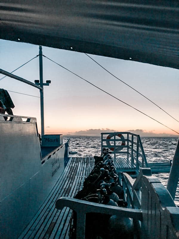 Der beste Tauchspot der Philippinen Malapascua