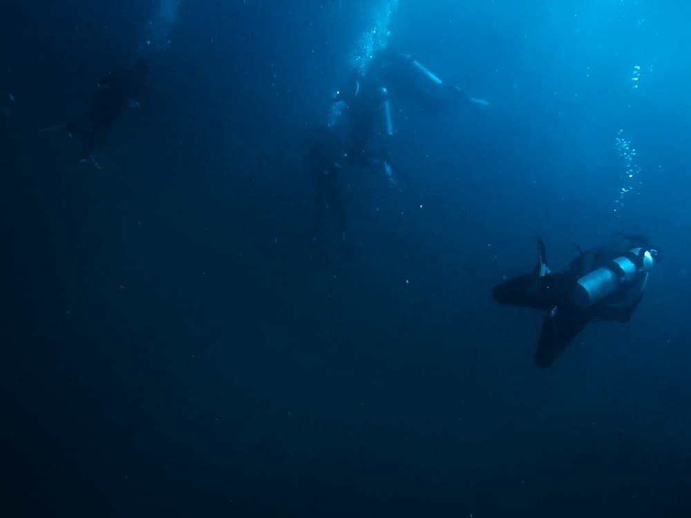 Der beste Tauchspot der Philippinen – Malapascua