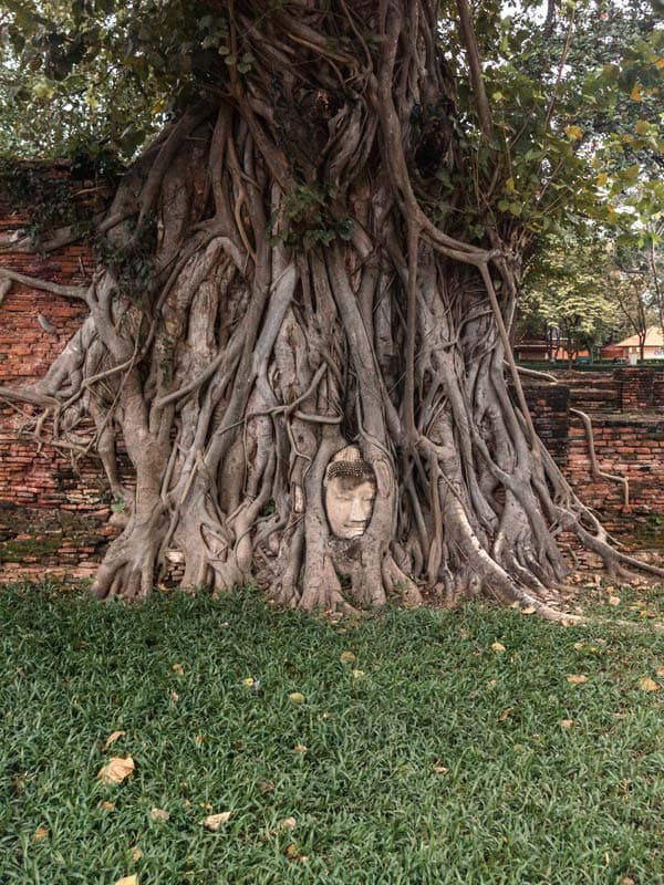 Auf Durchreise durch Ayutthaya, Thailand: Das musst du gesehen haben