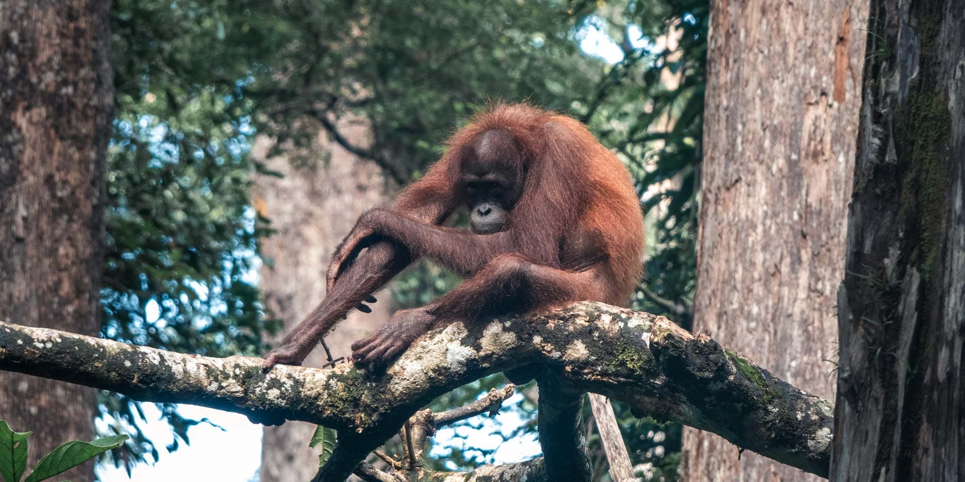 Malaysia