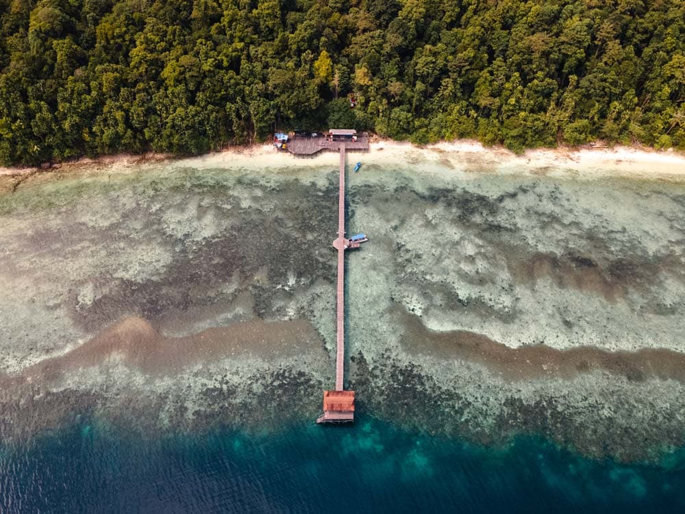 Geheimtipp für Tauchen in Indonesien: Die Derawan Inseln