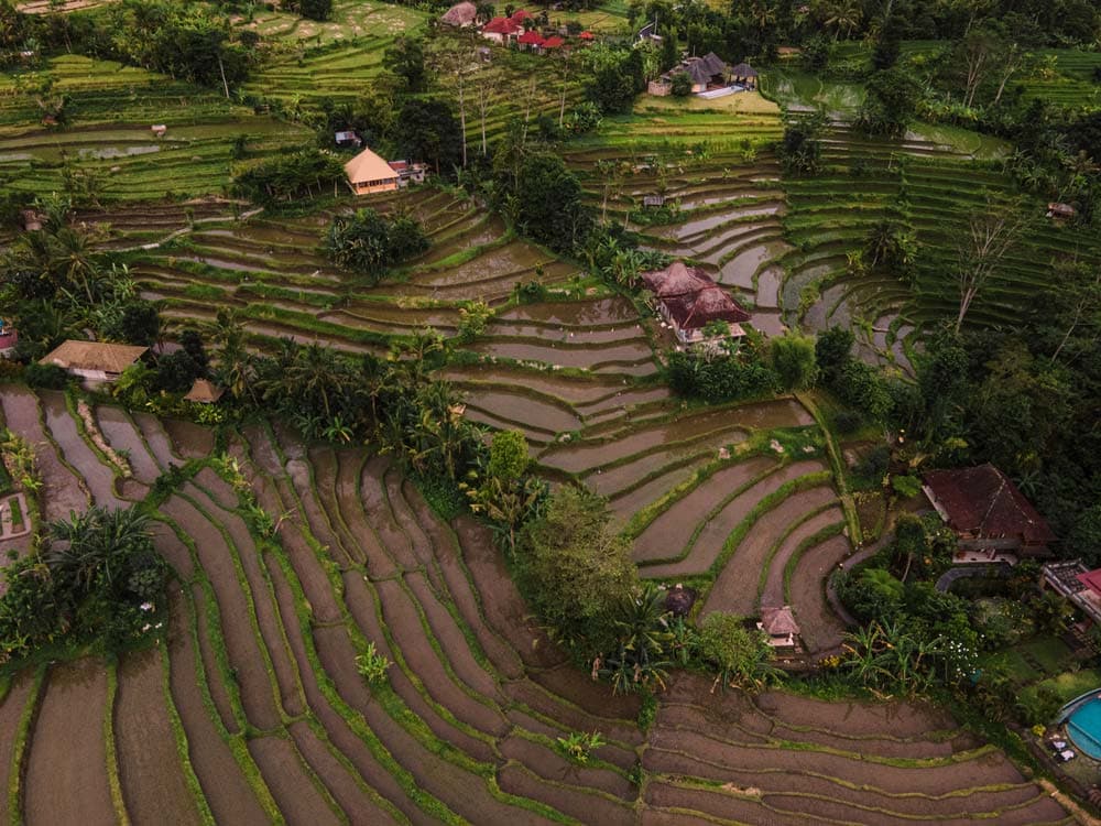 Sidemen Reiseführer: Entdecke das echte Bali