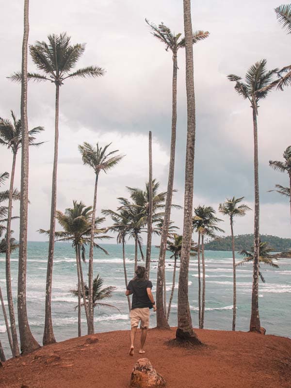 Mirissa, Sri Lanka: Tipps, Sehenswürdigkeiten Reiseführer