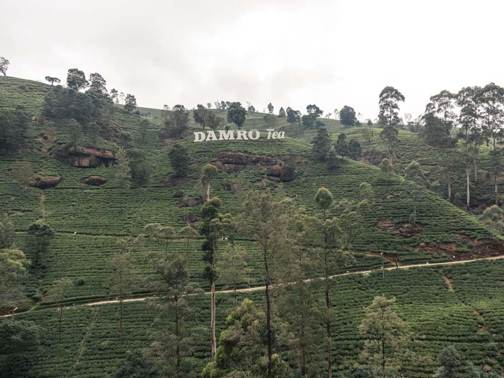 Nuwara Eliya, Sri Lanka: Das solltest du gemacht haben