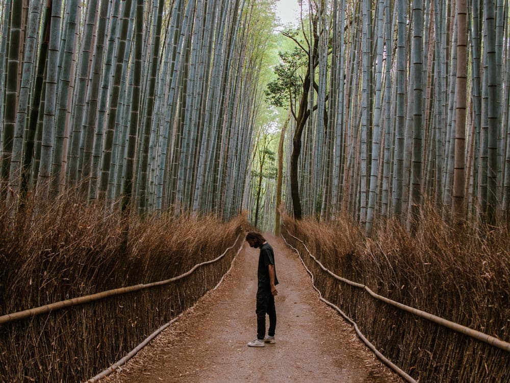 10 Dinge, die du in Kyoto, Japan gemacht haben solltest