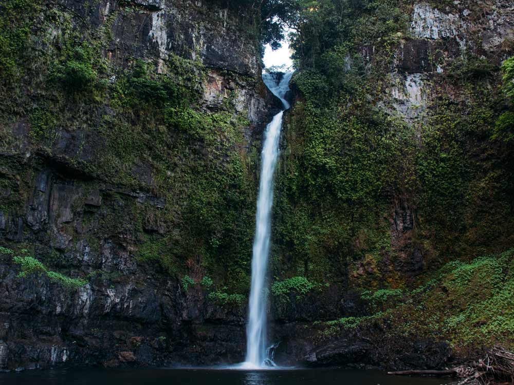 6 Dinge, die du in Cairns, Australien gemacht haben solltest