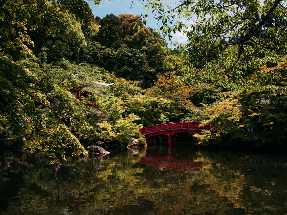 Beste Reisezeit Japan: Wann du wirklich fahren solltest