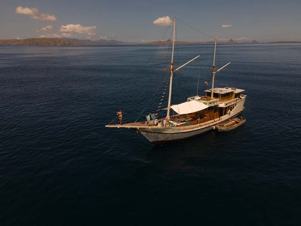 Komodo Nationalpark, Indonesien: So planst du deine Komodo Tour