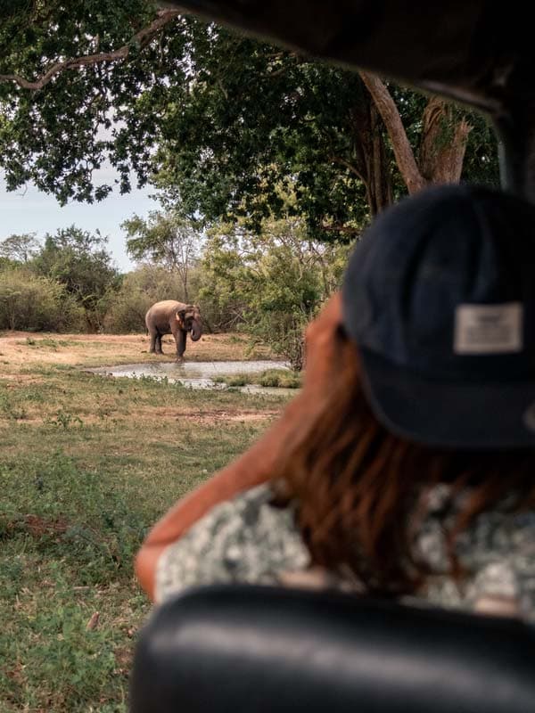 Die 13 besten Aktivitäten in Sri Lanka