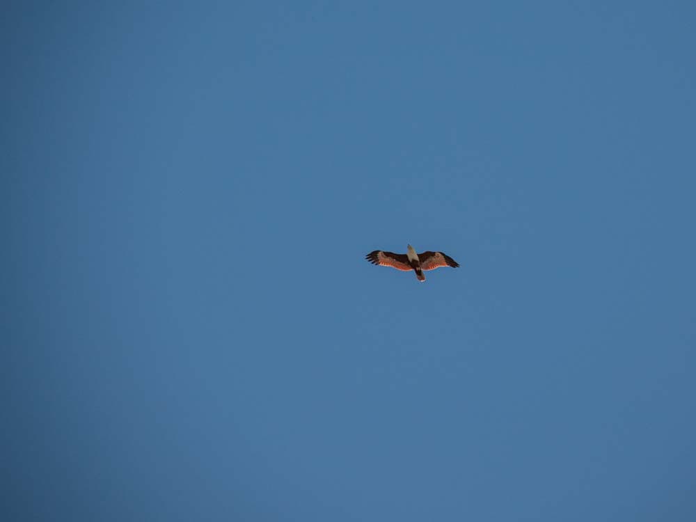 Langkawi: Reiseführer zur Trauminsel von Malaysia