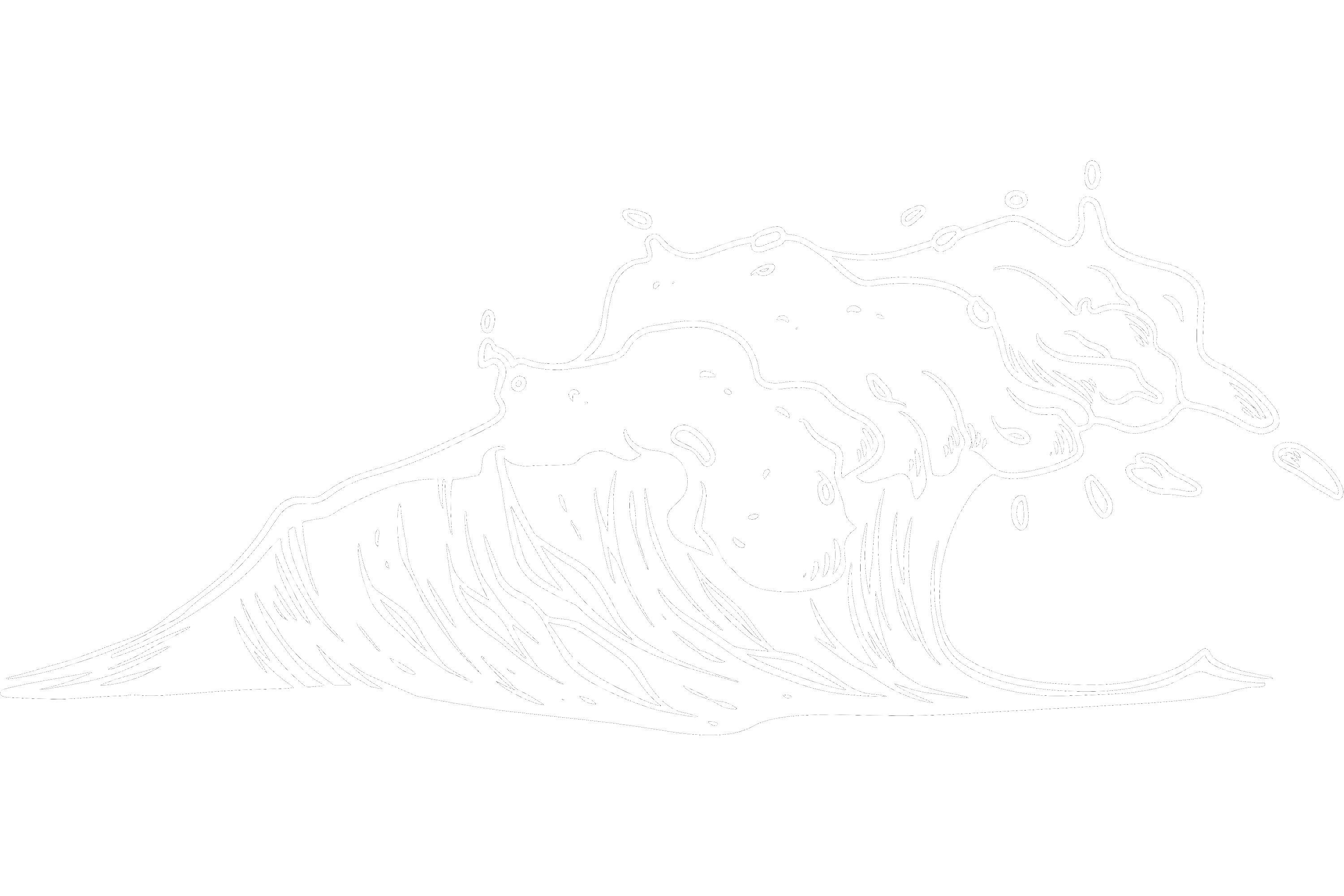 Wave