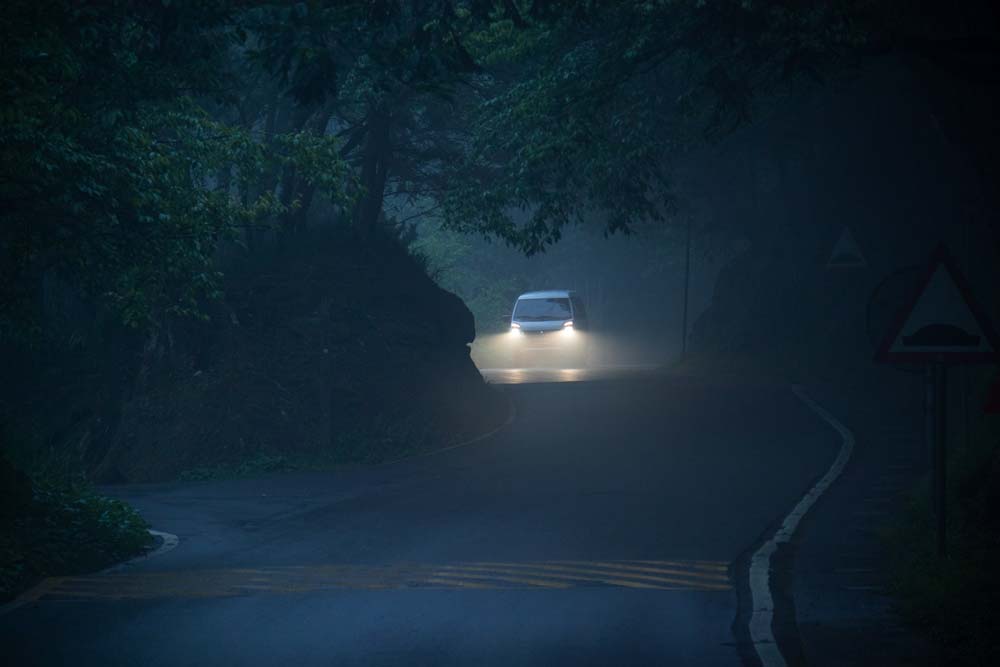 Auto-fährt-durch-den-Alishan-Wald