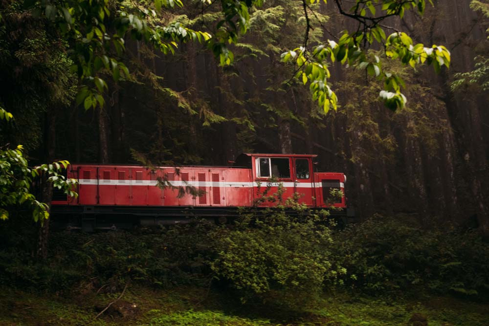 Der-Zug-in-Alishan