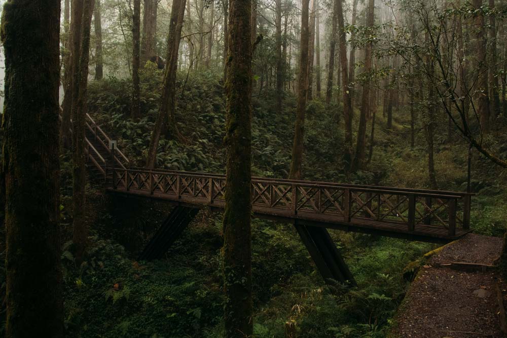 Fußgängerbrücke-in-Alishan