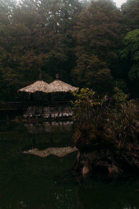 See-in-Alishan