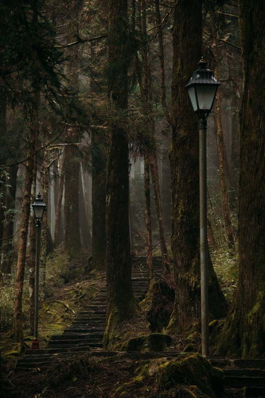 Wanderweg-in-Alishan