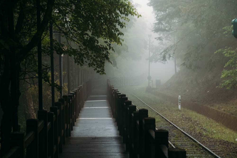 Weg-entlang-der-Gleise-in-Alishan
