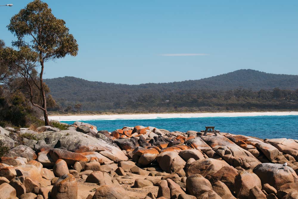 Bay-of-Fires-auf-der-Tasmanien-Rundreise