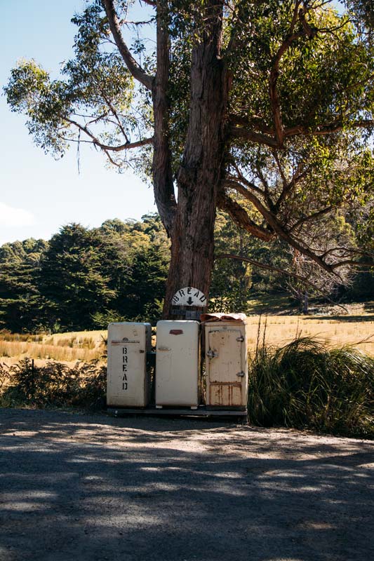 Bruny-Baker-Bread-Fridge