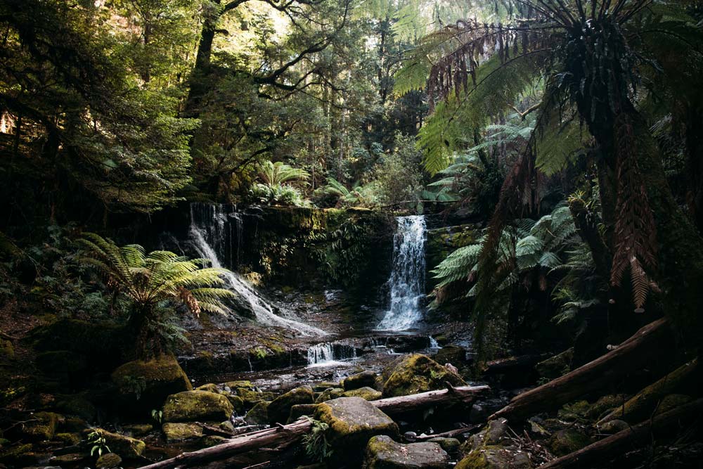 Wasserfall-im-Mount-Field-Nationalpark-auf-Tasmanien